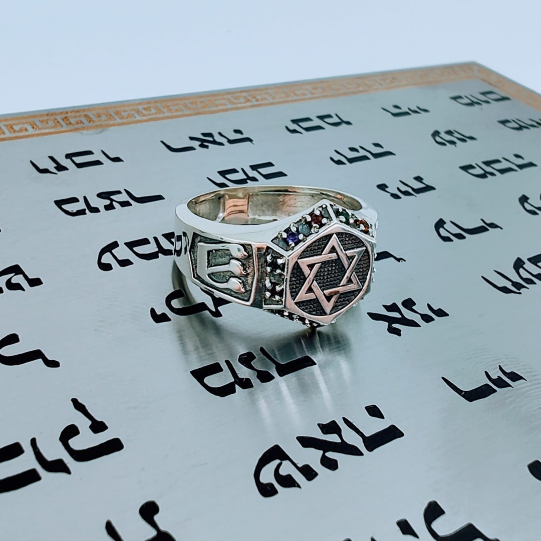 Anel 12 tribos em prata